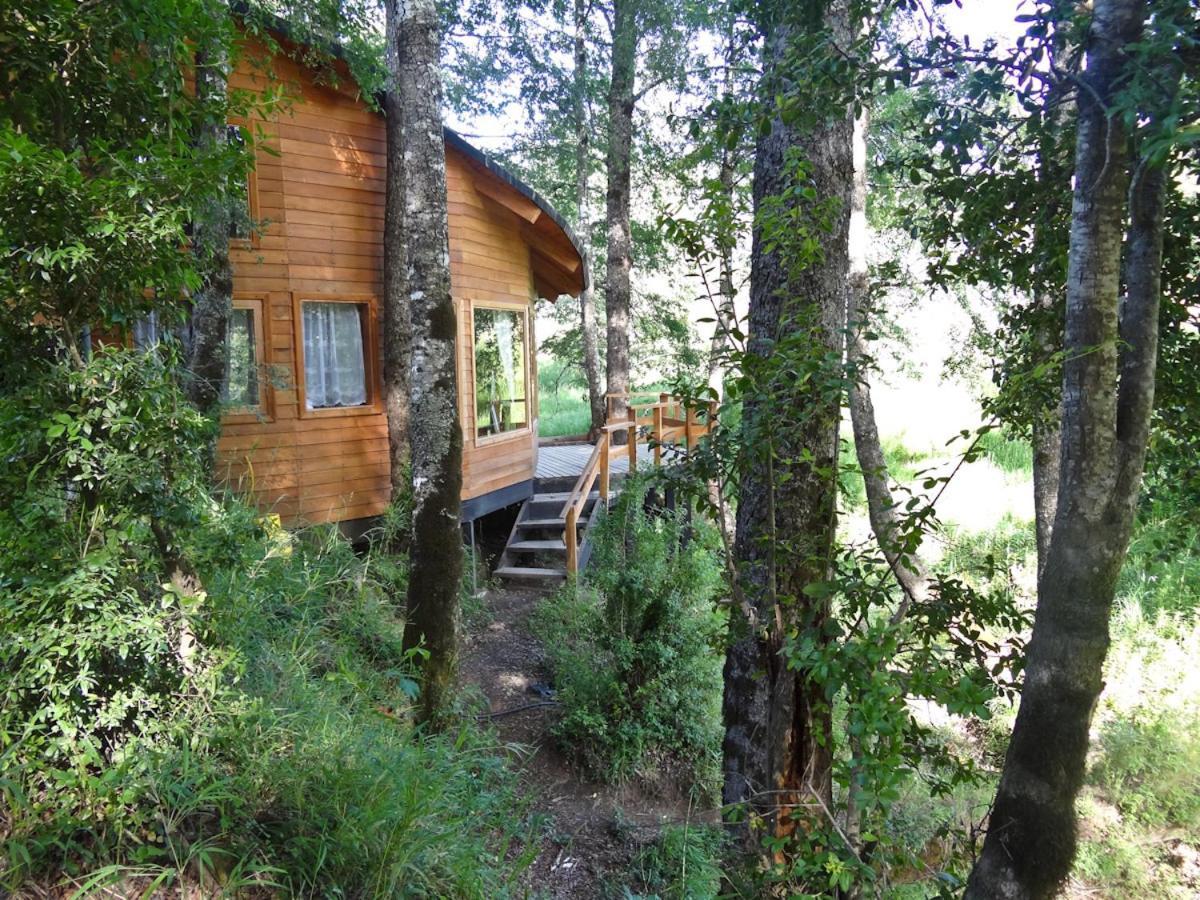 Patagonia Mawida Villa Нелтум Екстериор снимка